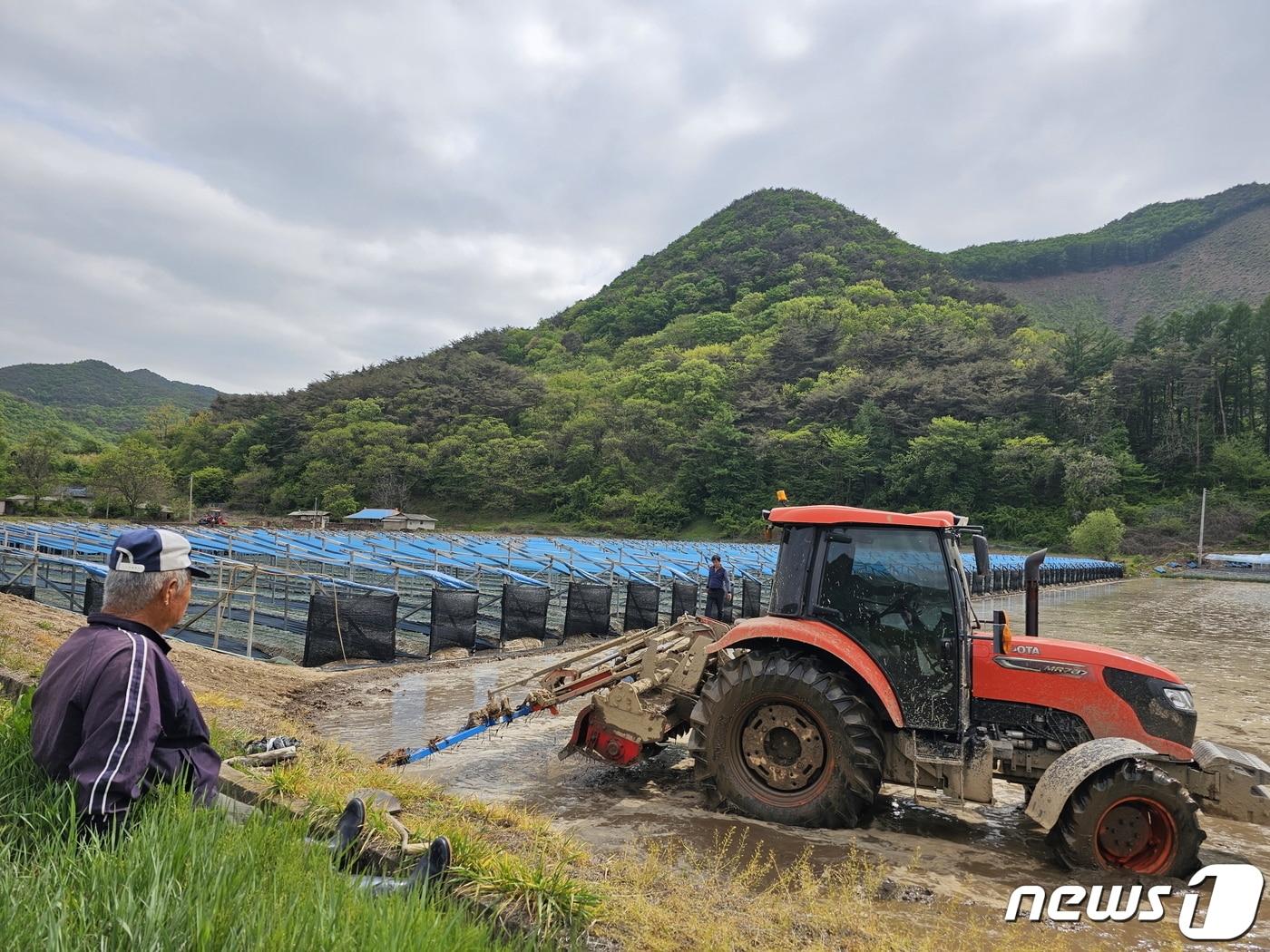 보은군  농작업 대행 서비스 제공 장면. &#40;보은군 제공&#41; /뉴스1