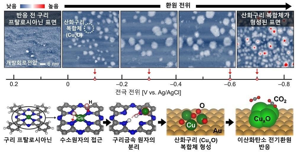 전기화학 주사 터널링 현미경을 활용한 이산화탄소 전기환원 관찰 및 구리 프탈로시아닌 유기 분자의 산화구리 복합체 형성과정.&#40;KAIST 제공&#41;/뉴스1