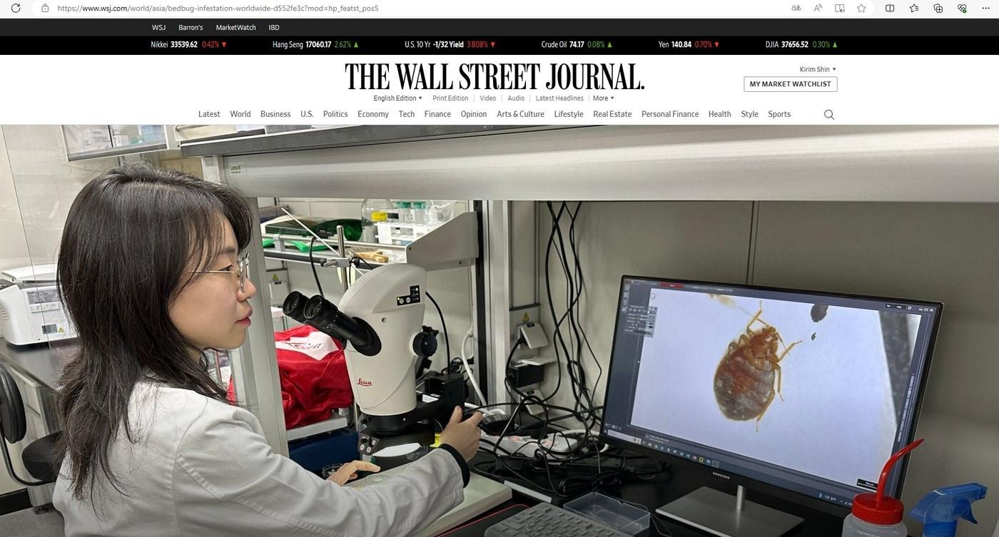  빈대 연구중인 서울대 김주현 교수&#40;월스트리트저널 웹사이트 갈무리&#41;