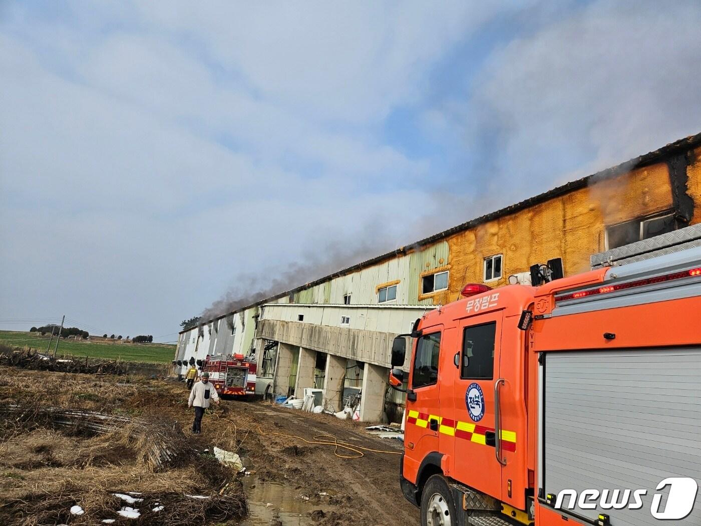 29일 오후 1시21분께 전북 고창군 대산면 한 돼지축사에서 불이 났다. &#40;전북소방본부 제공&#41;2023.12.29./뉴스1