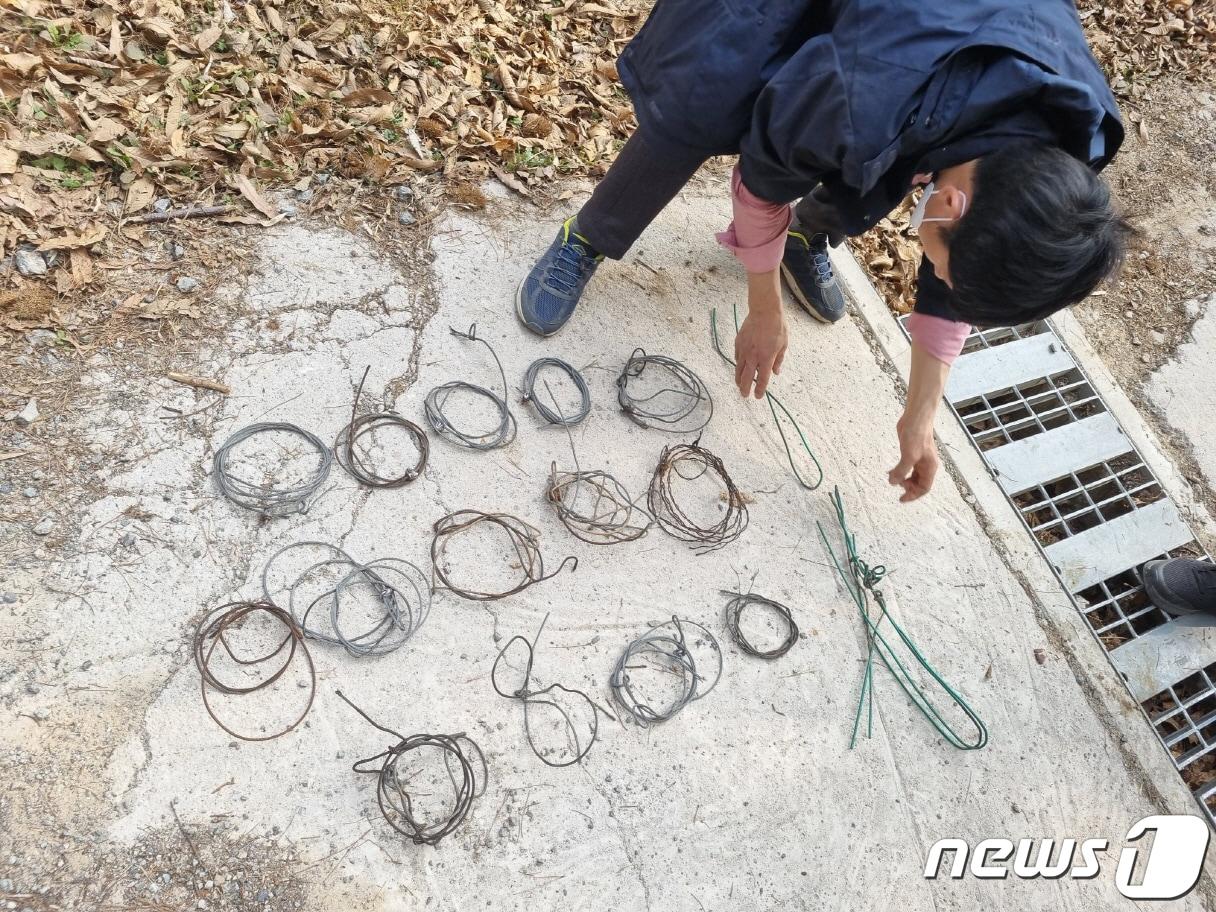 광주시 야생동물 밀렵·밀거래 단속.&#40;광주시 제공&#41;/뉴스1 