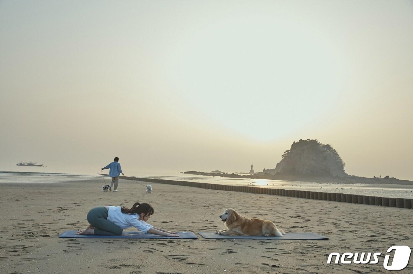 꽃지 해수욕장에서 반려견과 함께 즐기는 도가&#40;Dog+Yoga&#41; 모습.&#40;태안군 제공&#41;/뉴스1