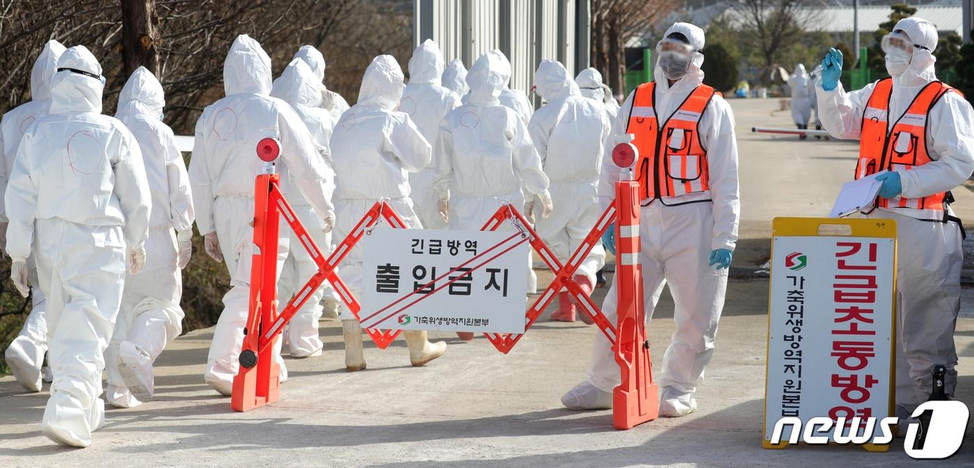 고병원성 조류인플루엔자&#40;AI&#41;가 발생해 출입이 통제되고 있다. ⓒ News1 유경석 기자