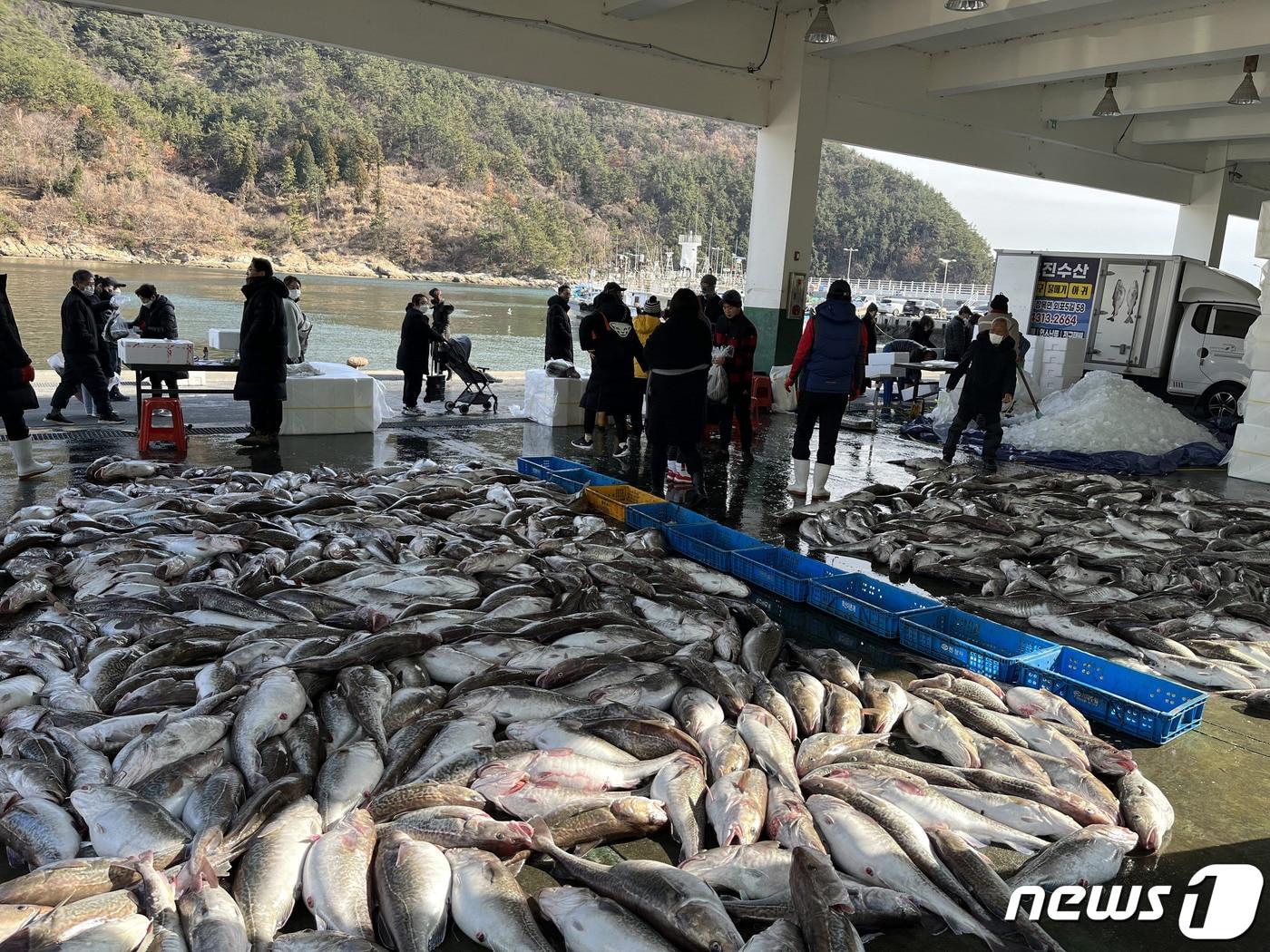 거제대구수산물축제 직거래 장터.&#40;거제시 제공&#41;