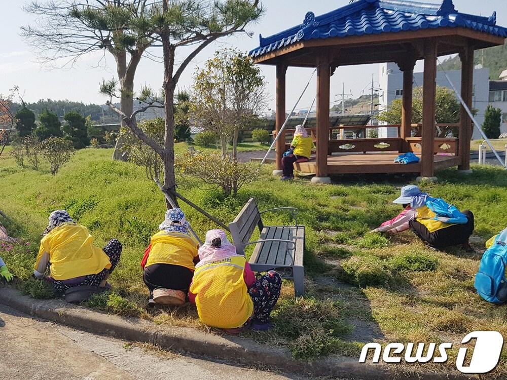 신안군 일자리사업 실시 모습/뉴스1