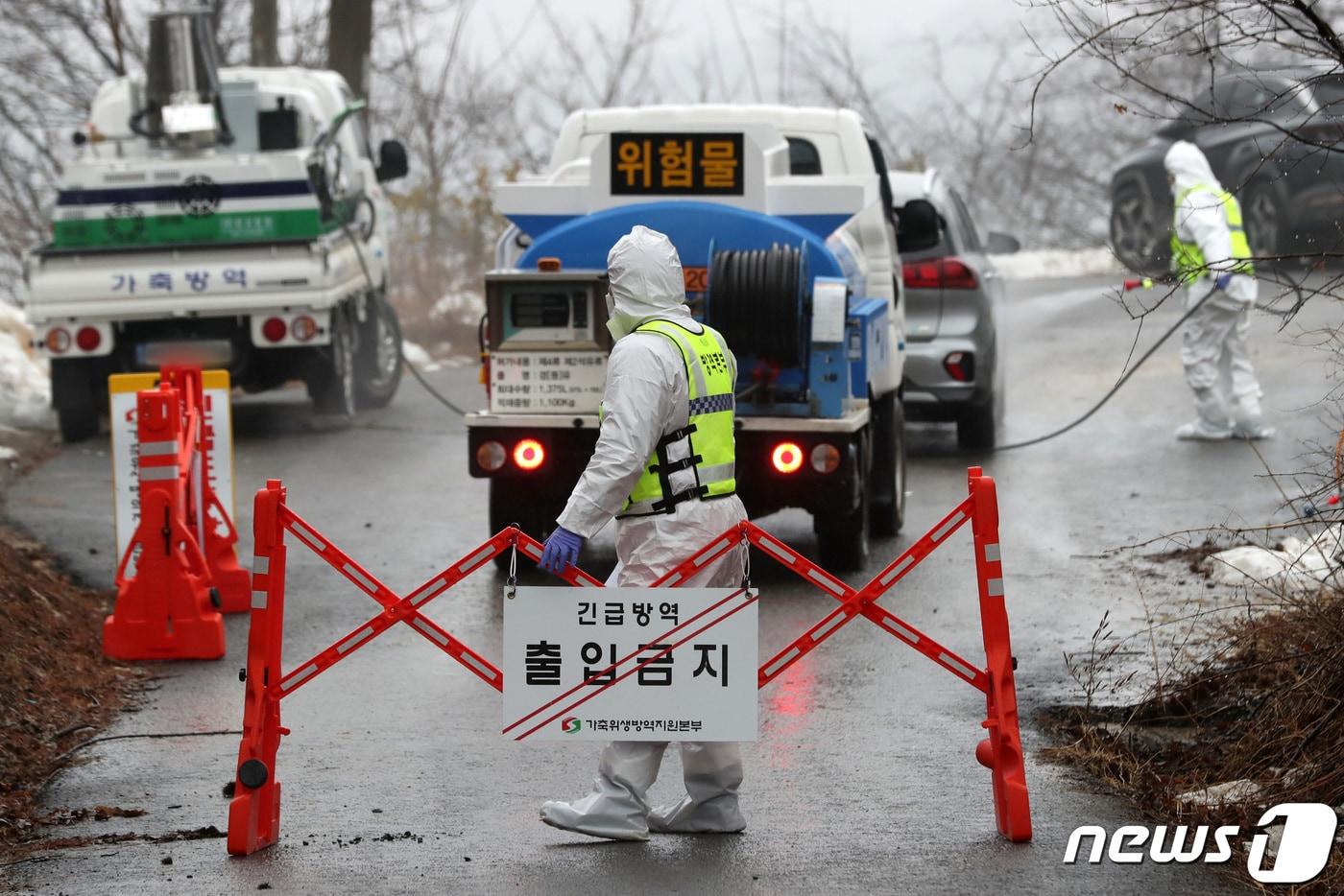 아프리카돼지열병&#40;ASF&#41; 발생으로 출입 통제된 양돈농장..&#40;자료사진&#41;ⓒ News1 DB