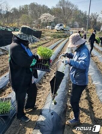 충북 괴산군이 지난해 추진한 일자리 사업.&#40;괴산군 제공&#41; / 뉴스1