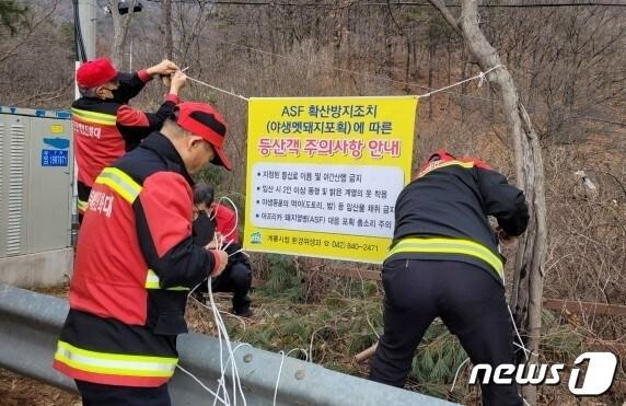 아프리카돼지열병 확산 방지 야생 멧돼지 포획 총기사고 예방 현수막 설치 모습. &#40;계룡시 제공&#41; /뉴스1