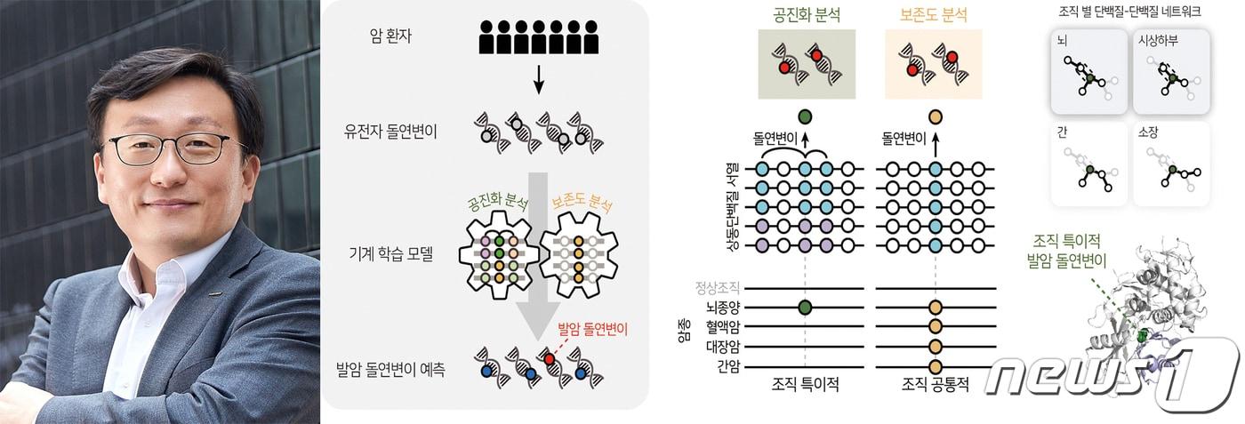 포스텍&#40;포항공대 총장 김무환&#41; 생명공학과 김상욱 교수와 김동효, 하도연 박사 연구팀이 환자의 유전자에 생긴 돌연변이가 암을 일으킬 수 있는지 정확하게 예측할 수 있는 기계 학습모델을 개발했다.사진은 김상욱 교수,.&#40;포스텍제공&#41;2023.2.23/뉴스1