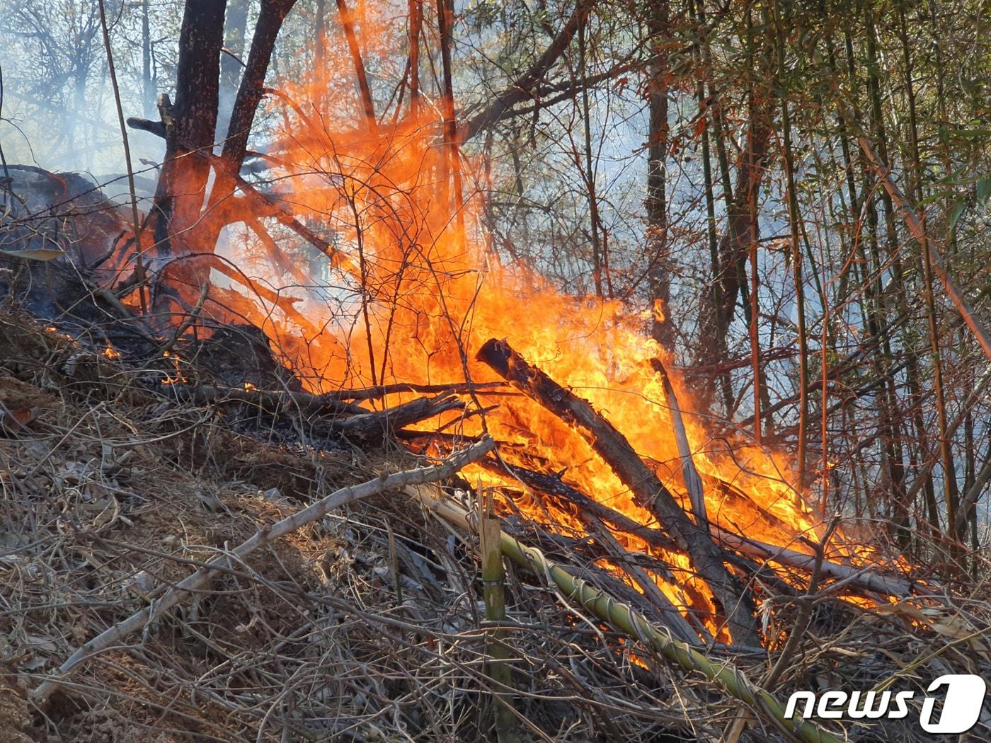 산림청 중앙산불방지대책본부는 26일 오후 13시 25분경 전라남도 화순군 이양면 연화리 74 일원에서 산불이 발생하여 진화중이라고 밝혔다. 산림당국은 산불진화헬기 2대&#40;지자체 2&#41;, 산불진화장비 10대&#40;진화차 2, 소방차 8&#41;, 산불진화대원 89명&#40;산불전문예방진화대 30, 공무원 35, 소방 24&#41;을 긴급히 투입, 산불 진화에 집중하고 있다. &#40;산림청 제공&#41; 2023.2.26/뉴스1