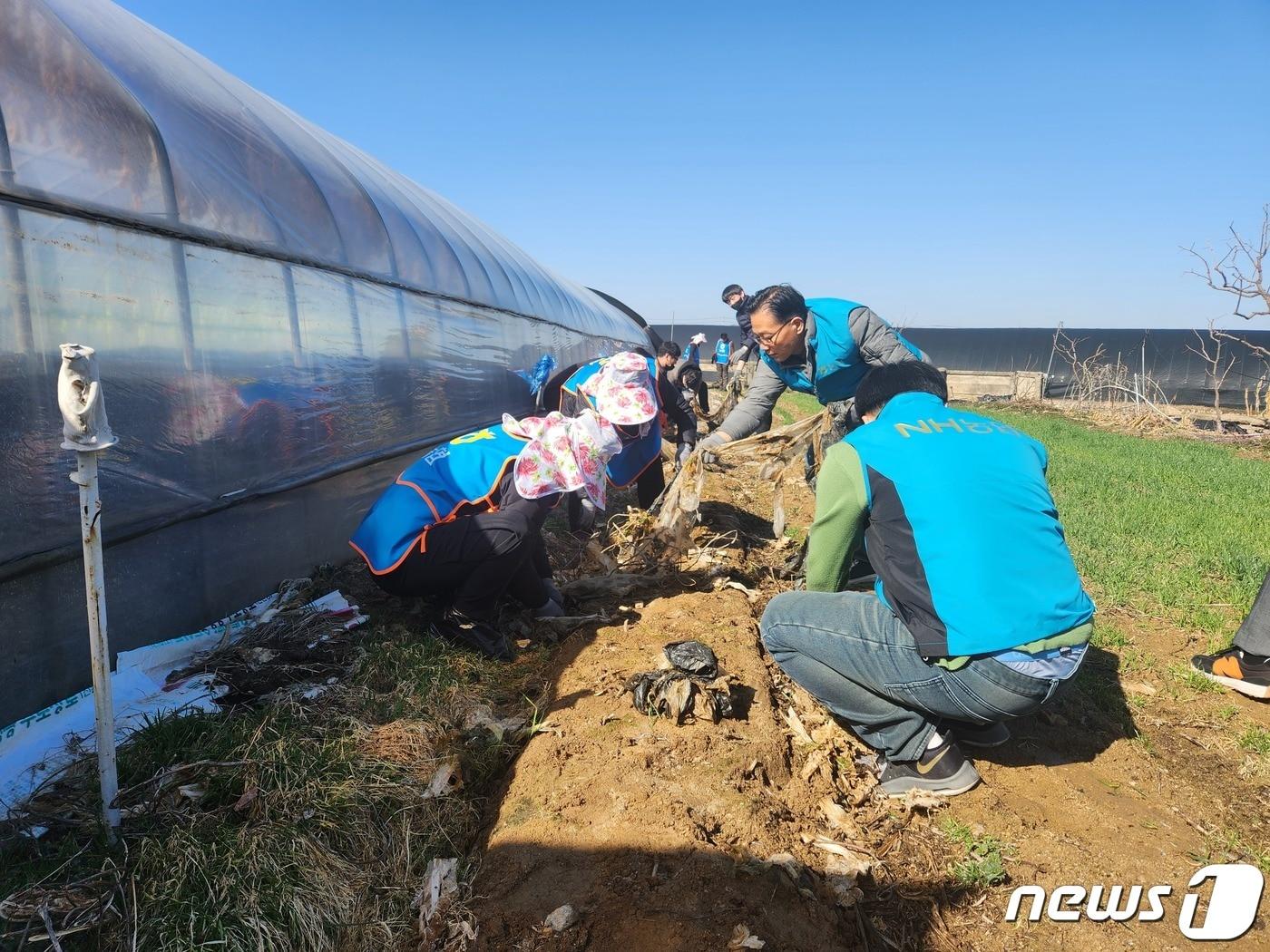 전북농협은 농협 정읍시지부, 샘골농협과 함께 13일 정읍시 정우면에서 영농폐기물 수거캠페인을 전개했다.&#40;전북농협 제공&#41;2023.3.13/뉴스1