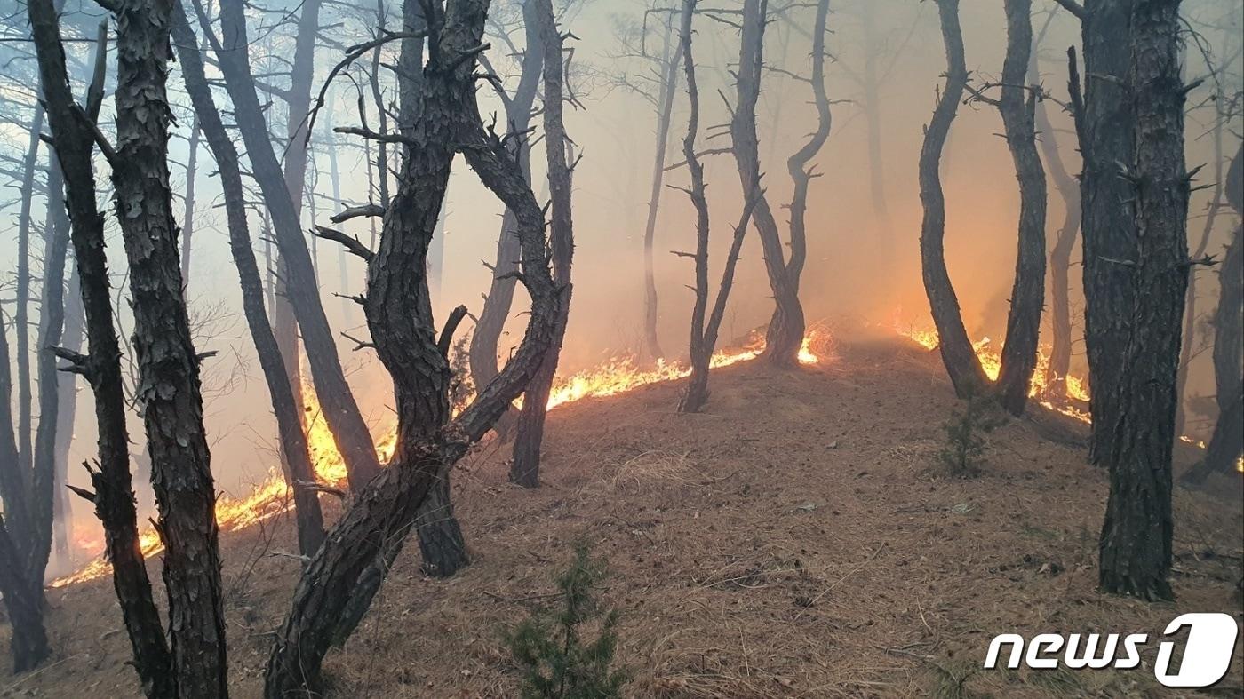 16일 오후 2시54분쯤 경북 상주시 외남면 야산에서 발생한 불이 확산하는 가운데 소방·산림당국이 대응 2단계를 발령, 진화 중이다. &#40;경북소방본부 제공&#41; 2023.3.16/뉴스1 ⓒ News1 남승렬 기자