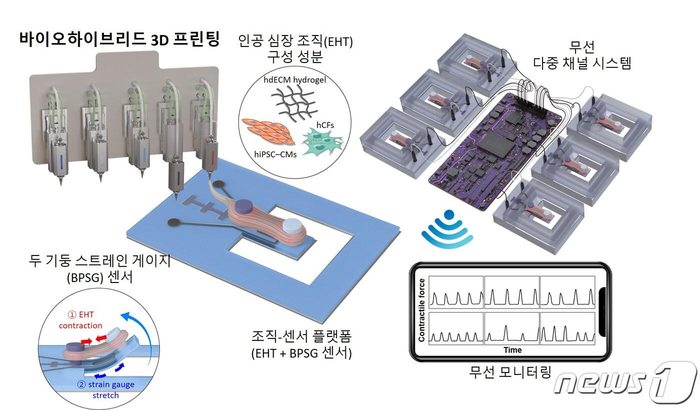 체외 3D인공 심장 개념도/뉴스1