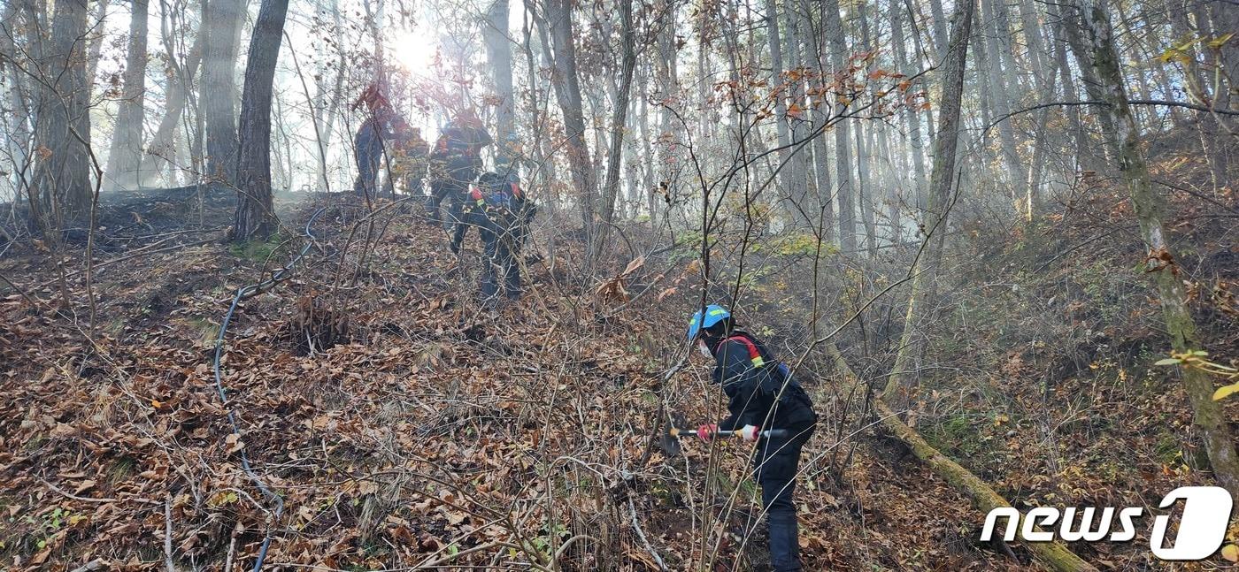 2일 오전 11시52분 전남 영암군 시종면 구산리의 한 야산에서 불이 나 산림당국이 진화 작업을 하고 있다.&#40;산림청 제공&#41; 2023.3.2/뉴스1 