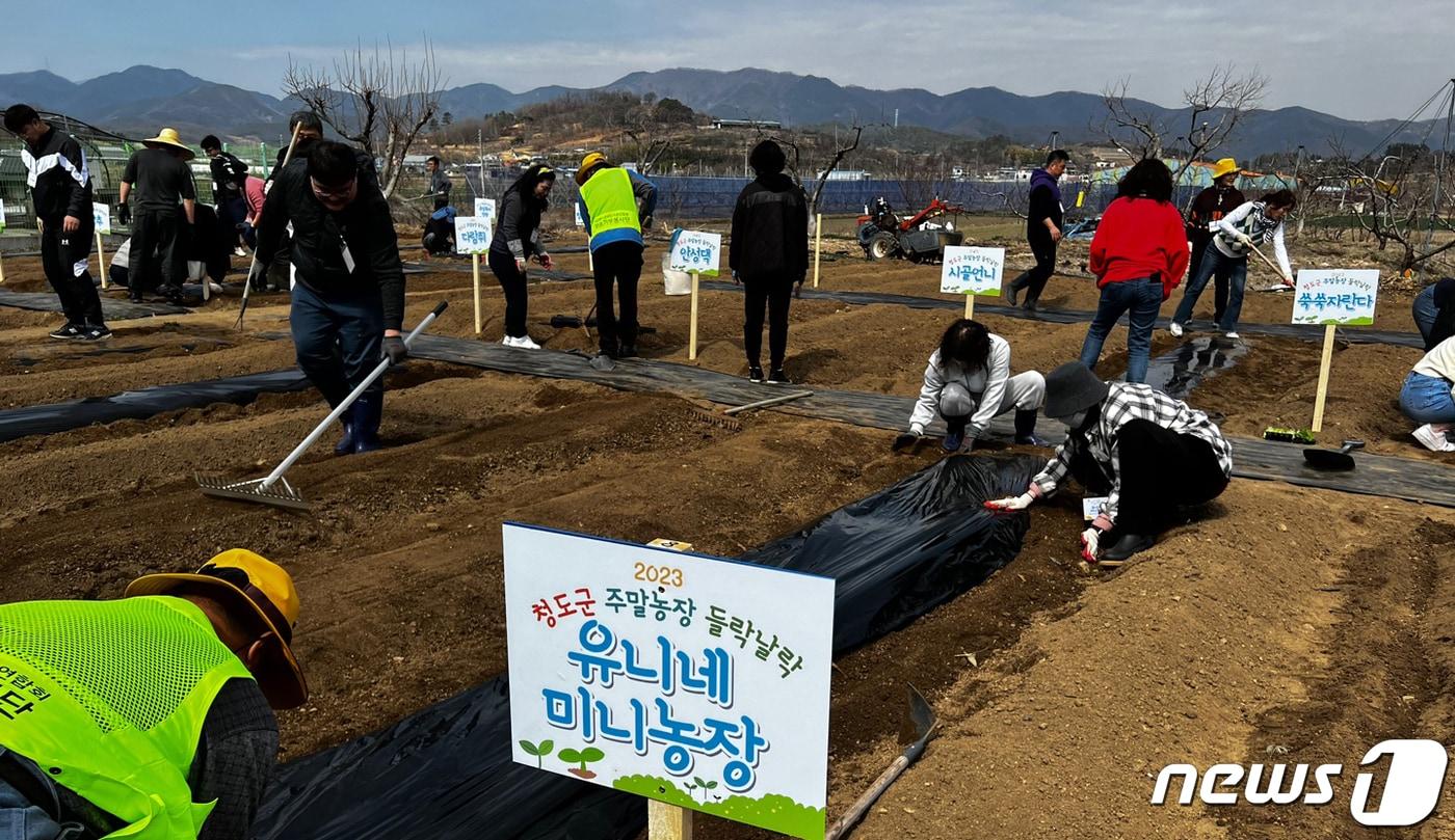 경북 청도군이 주말농장을 운영한다. 사진은 &#39;들락날락&#39; 주말농장 모습. &#40;청도군 제공&#41; 2023.3.20/뉴스1