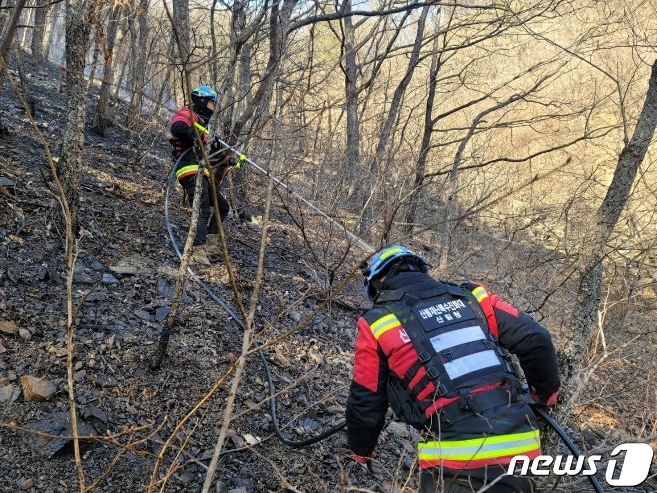 동해시 지가동 산불진화 현장.&#40;산림청 제공&#41; 203.3.21/뉴스1