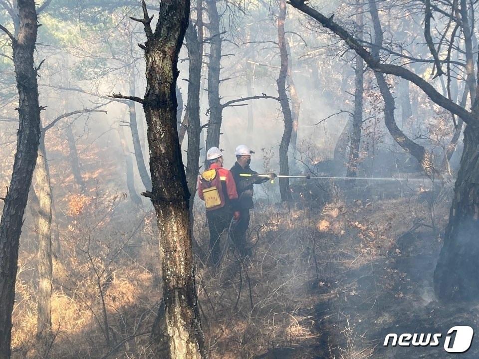 21일 오전 11시27분쯤 전남 영광군 염산면 한 야산에서 화재가 발생, 산림당국이 진화 작업을 하고 있다.&#40;산림청 제공&#41;2023.3.21/뉴스1