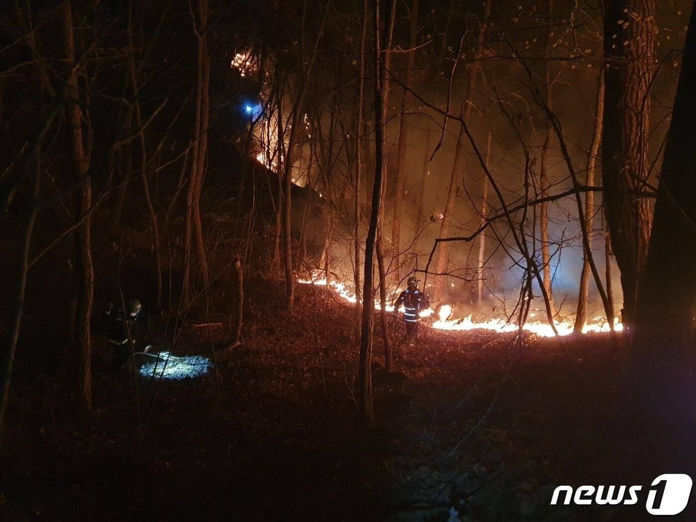 지난 22일 오전 1시10분쯤 충북 제천시 박달재 자연휴양림 인근 야산에서 불이 났다. /뉴스1