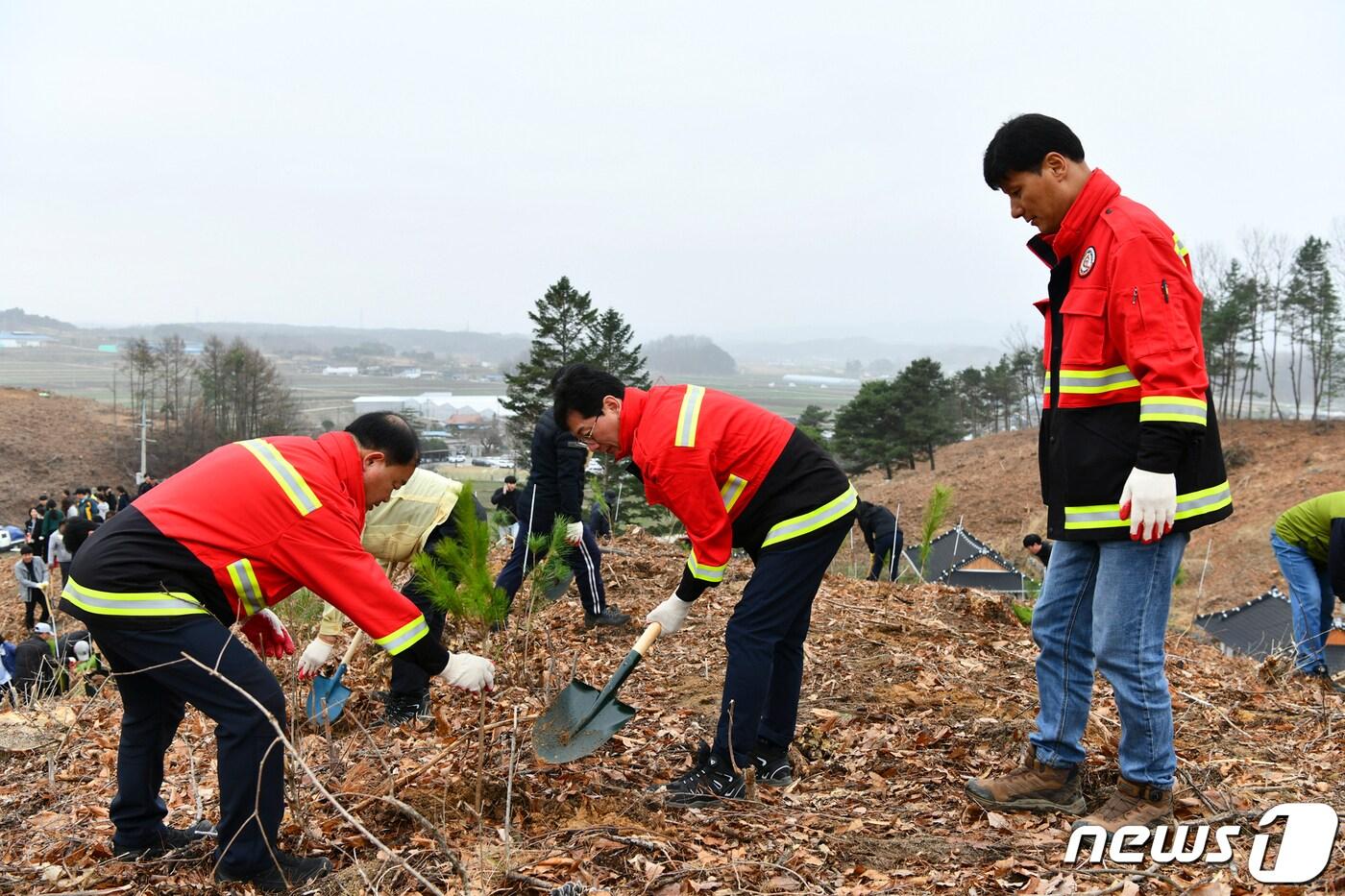 전북 장수군은 24일 정풍산에서 소나무 4000그루와 편백나무 1만6000그루를 심었다. 앞으로 등산로 인근에 산벚나무 등 꽃나무도 추가로 식재할 계획이다.&#40;장수군 제공&#41;2023.3.24/뉴스1