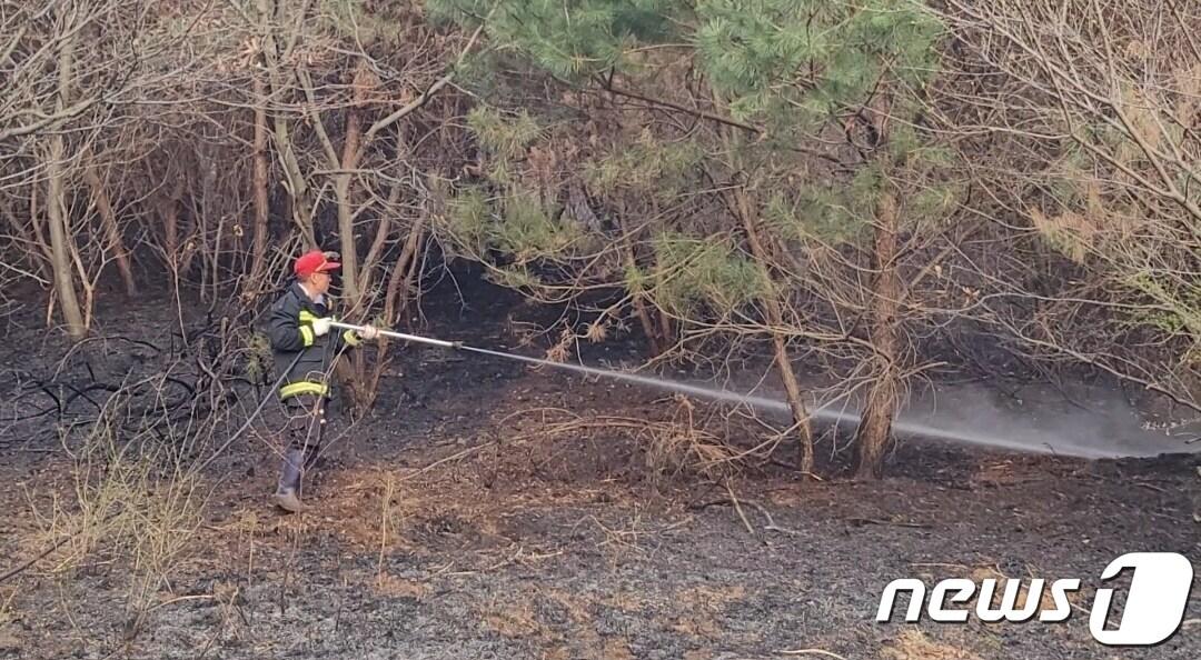 충남 보령시 산불 진화 모습