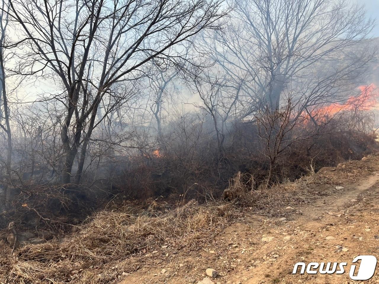 3일 오후 1시8분쯤 경북 영천시 화북면 한 야산에서 불이 발생했다. 화재 현장 모습. &#40;산림청 제공&#41;/뉴스1