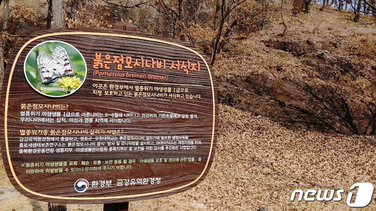 충북 영동군 소재 유원대 안에 설치된 붉은점모시나비 서식지 알림판. /뉴스1 