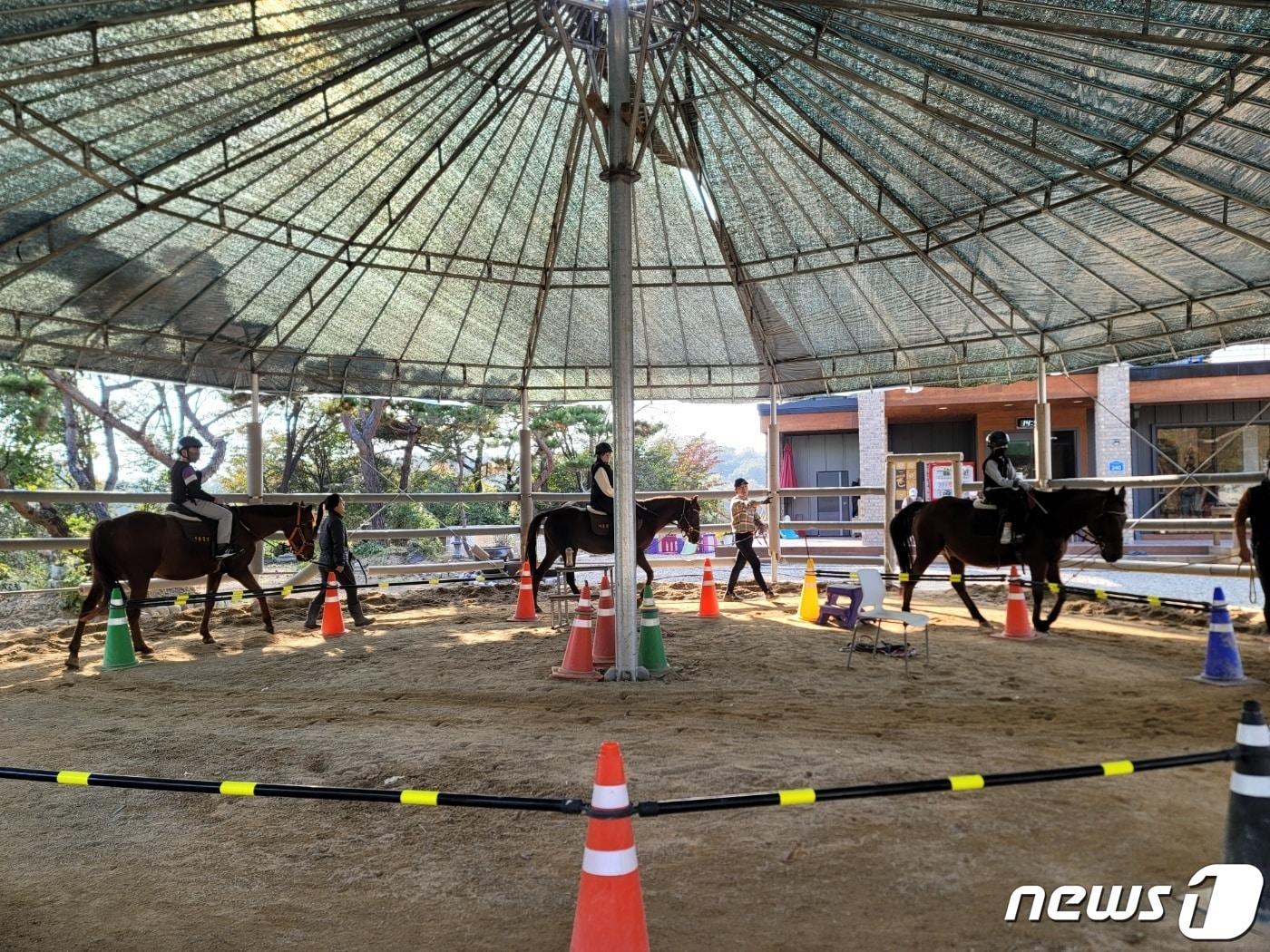 학생들이 승마체험을 하고 있는 모습.&#40;이천시 제공&#41;