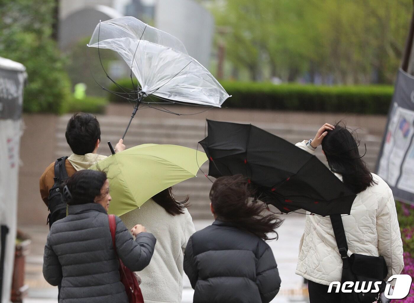 전국에 강풍이 몰아치고 있는 11일 서울 청계광장 인근에서 시민들이 쓴 우산이 뒤집히고 있다. 기상청은 내륙에 순간초속 20m, 동해안은 30m의 태풍급 돌풍이 이어지고 있다며 강풍이 이날 밤까지 이어질 것으로 예보했다. 2023.4.11/뉴스1 ⓒ News1 신웅수 기자