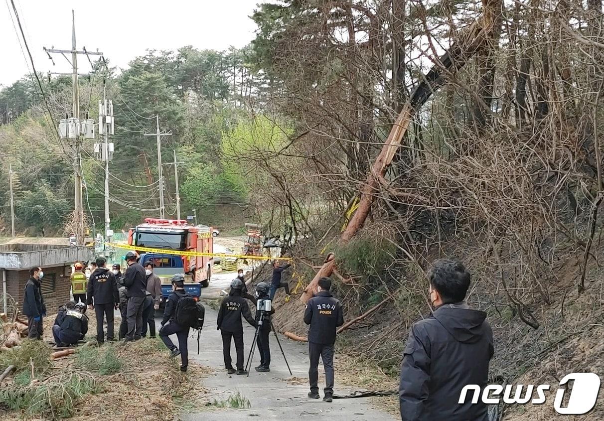 산림청 중앙산불방지대책본부는 11일 08시 30분 강원도 강릉시 난곡동 일원에서 발생한 산불의 원인을 강풍으로 나무가 쓰러지면서 전선을 덮쳐 단선되어 불꽃을 일으킨 것으로 추정하고 정확한 원인을 조사하고 있다. &#40;산림청 제공&#41; 2023.4.11/뉴스1