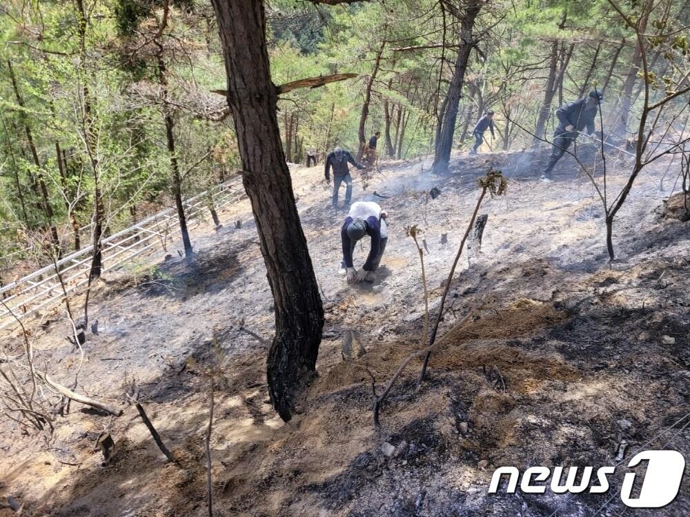  금산군 남일면 신동리 일원에서 발생한 산불이 34분만에 꺼졌다. &#40;산림청 제공&#41; /뉴스1