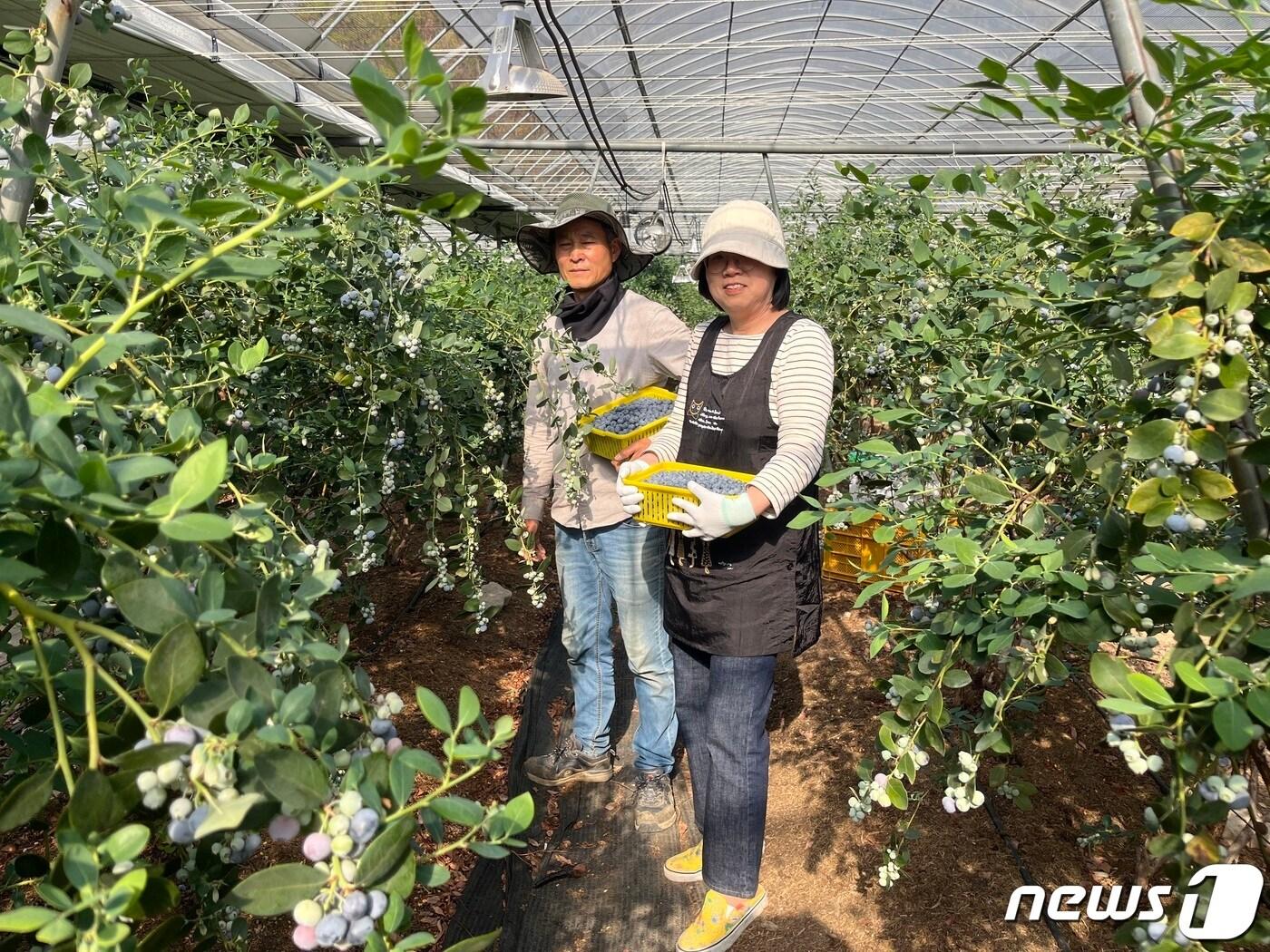 정민자 아주마 대표와 블루베리 농장주&#40;쿠팡 제공&#41;