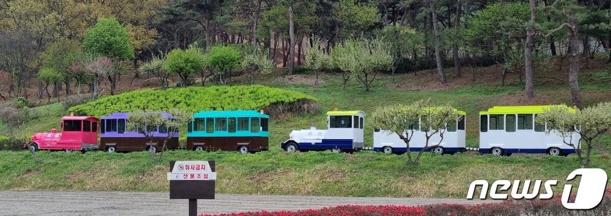 화순 고인돌축제 탐방열차. ⓒ News1