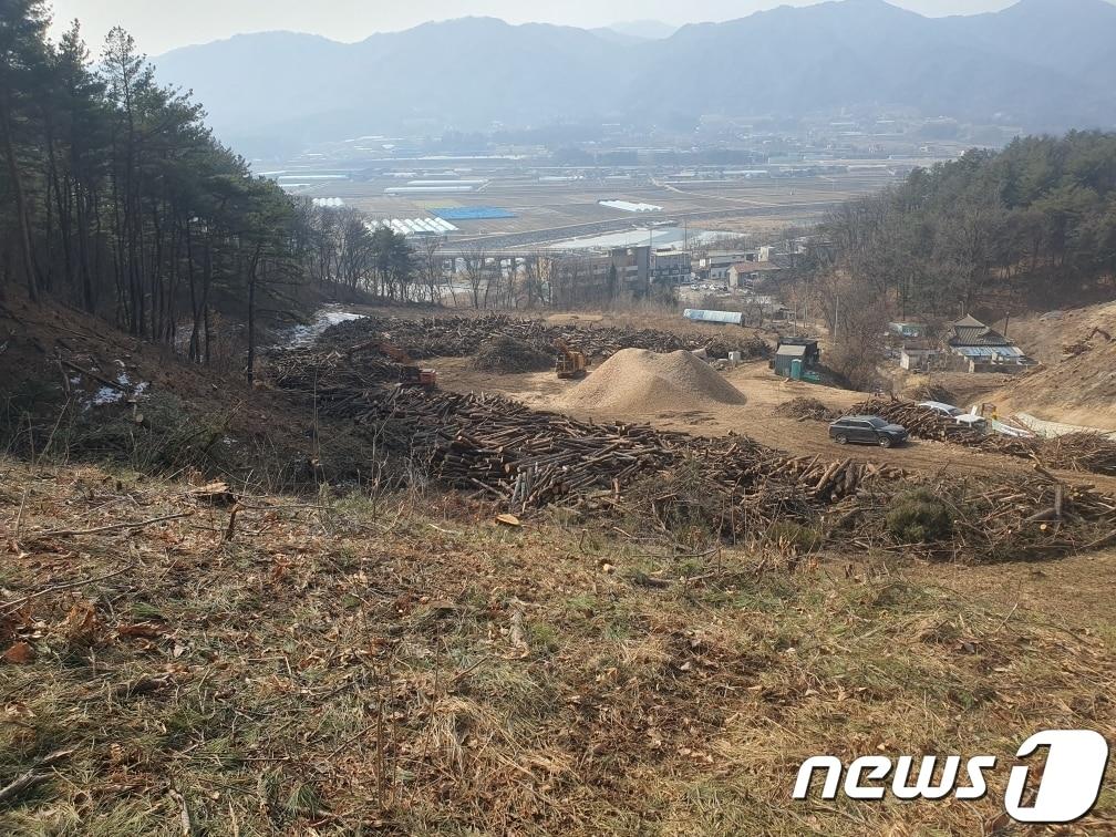 산불피해지역 벌채사진&#40;양구군 제공&#41; 2023.4.24/뉴스1