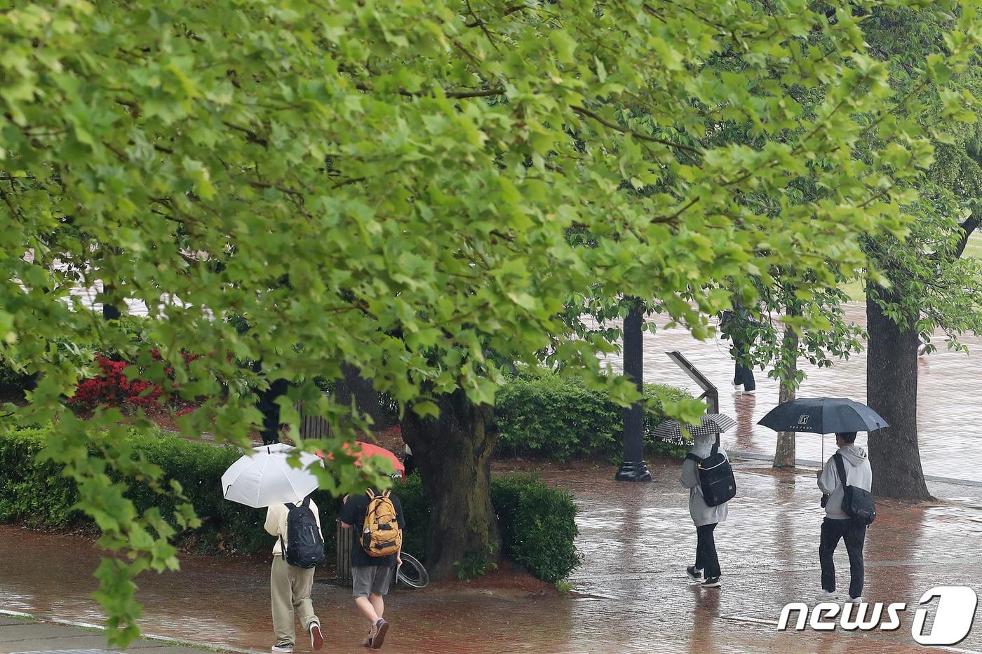 한 대학 캠퍼스의 모습. &#40;사진은 기사 내용과 무관함&#41; / 뉴스1 ⓒ News1 공정식 기자