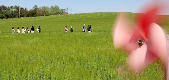 전북 공음면 학원농장을 찾은 관광객들이 넓게 펼쳐진 청보리밭 사이를 거닐고 있다. 2023.5.1/뉴스1 ⓒ News1 유경석 기자