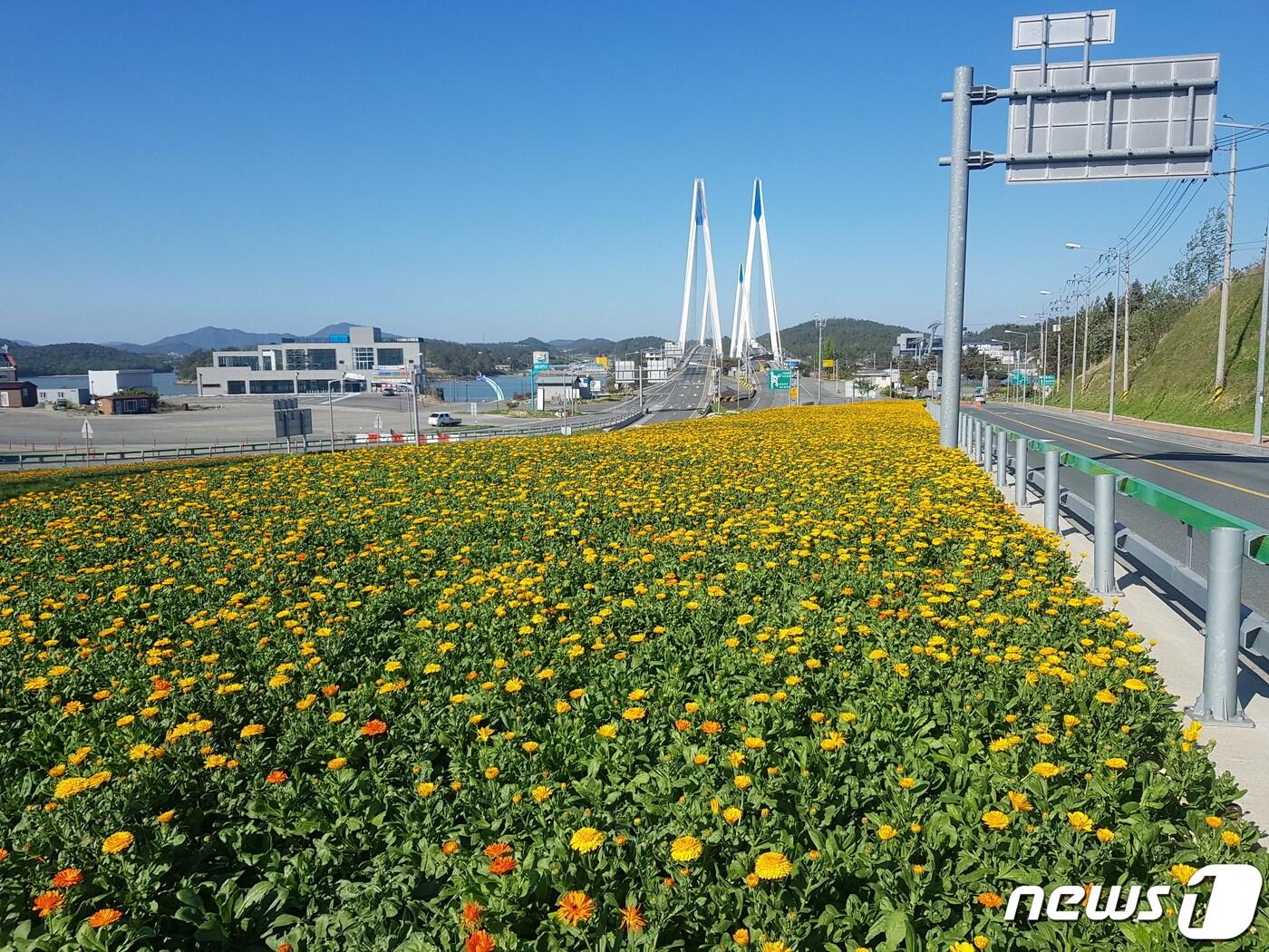 진도군이 쾌적하고 아름다운 경관 조성을 위한 &#39;365 꽃피는 진도 만들기&#39;사업을 추진한다.&#40;진도군 제공&#41;/뉴스1 