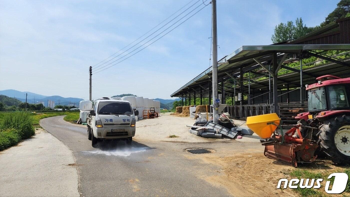 합천군 구제역 예방 소독 장면&#40;합천군 제공&#41;.