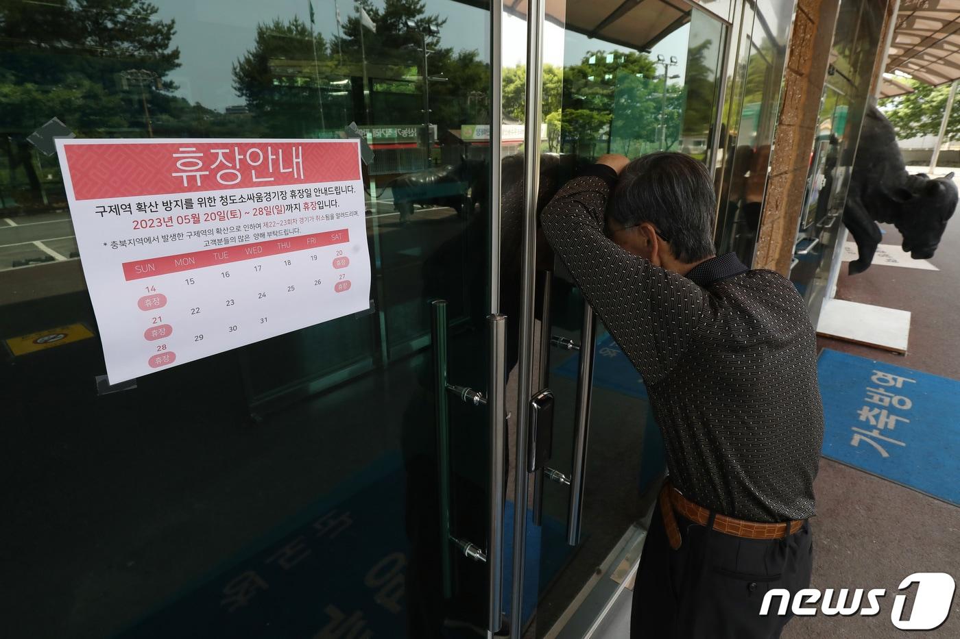 지난해 충북에서 4년여 만에 발생한 구제역 여파로 경북 청도군 청도소싸움경기가 2주 연속 중단됐다. &#40;사진은 기사 내용과 무관함&#41; / 뉴스1 ⓒ News1