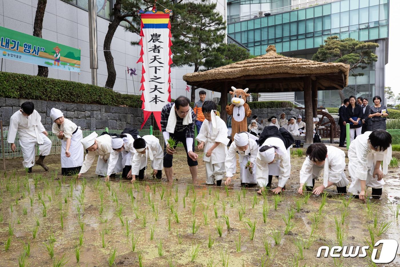 서울미동초등학교 학생들이 서울 중구 농업박물관 앞 논에서 전통 손모내기 체험을 하고 있다. 2023.5.22/뉴스1 ⓒ News1 유승관 기자