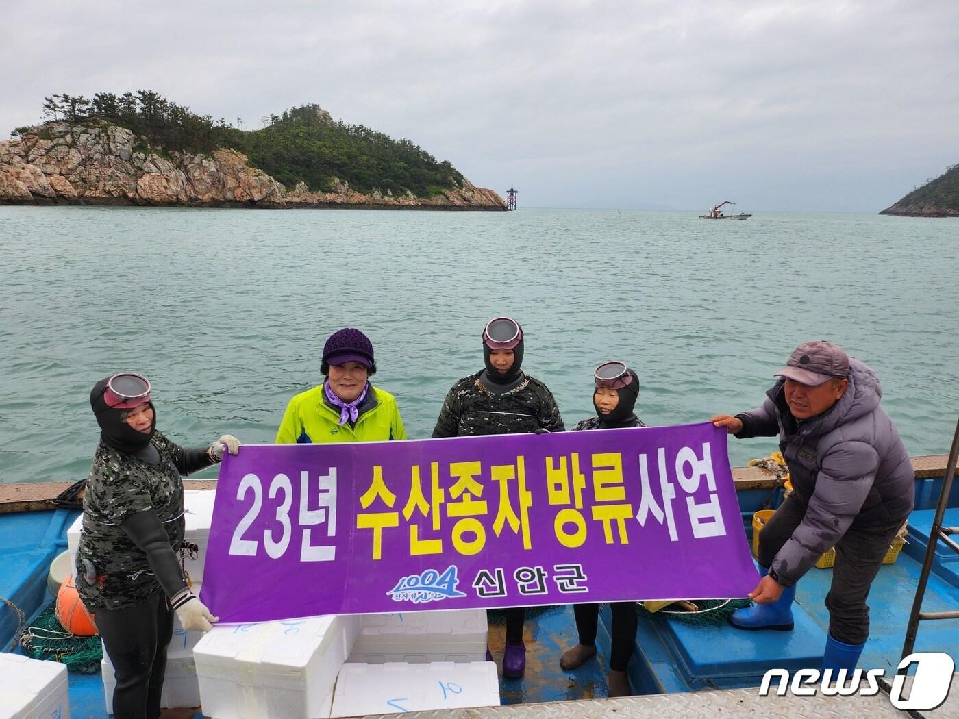 신안군 오리어촌계는 최근 수산종자 방류사업으로 해삼 11만미를 방류했다. &#40;신안군 제공&#41;/뉴스1 