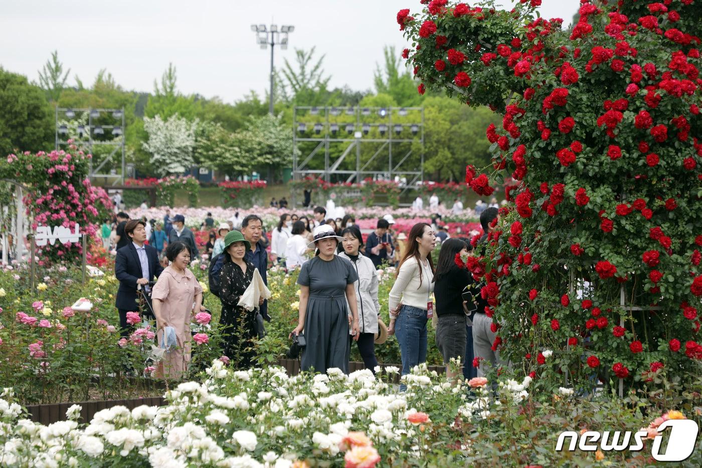 ‘2023 제15회 울산대공원 장미축제’가 24일부터 28일까지 5일간 울산대공원 장미원 일원에서 열린다. ‘러브스토리 인 울산’을 주제로 5만6174 ㎡규모 장미원에 265종 300만송이 장미꽃 향기를 만끽할 수 있다.2023.5.24/뉴스1 ⓒ News1 김지혜 기자