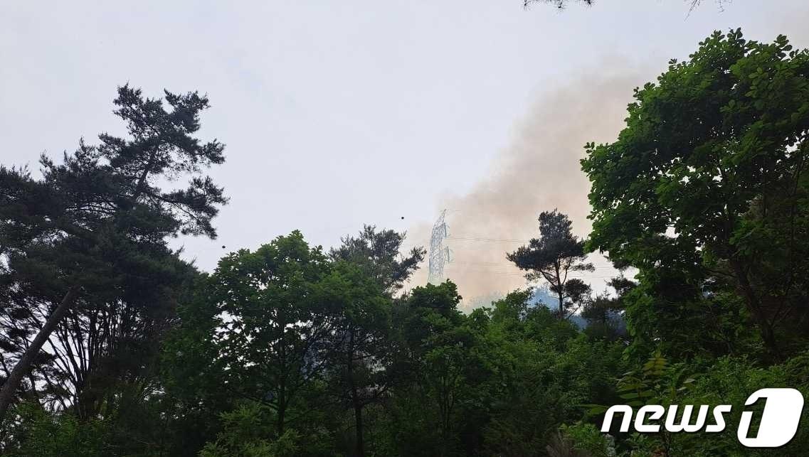 27일 낮 12시28분쯤 강원 정선군 정선읍 봉양리에서 산불이 발생, 소방과 산림당국은 진화장비 8대와 인력 30여 명대원을 현장에 투입해 진화 중이다.&#40;강원도 산불방지대책본부 제공&#41; 2023.5.27/뉴스1