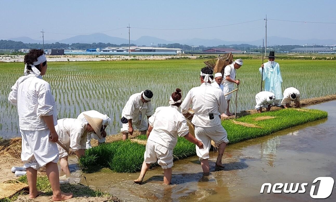 진천 용몽리 농요 시연.&#40;진천군 제공&#41;/뉴스1