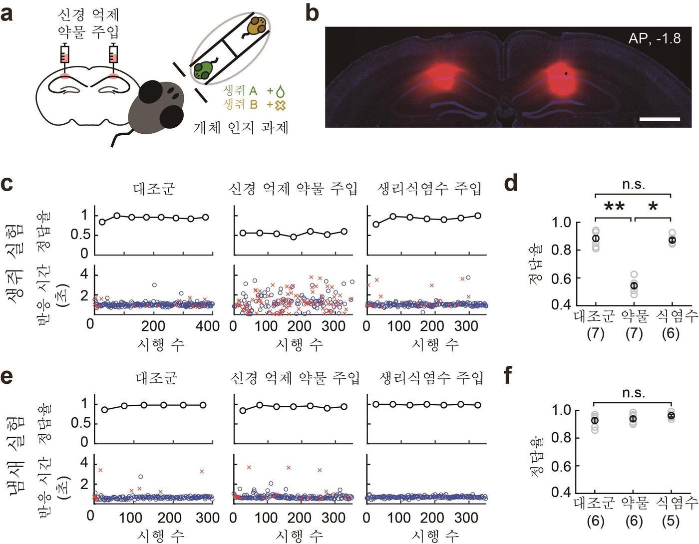 해마 CA1 영역 억제 시 개체 구별 능력 상실&#40;IBS 제공&#41;