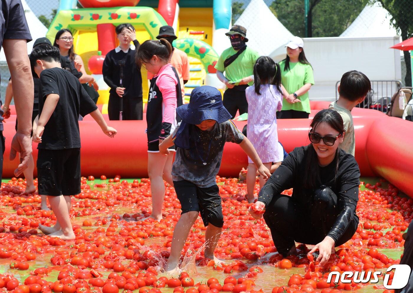 지난해 열린 제21회 퇴촌 토마토 축제 때 모습. 2023.6.16/뉴스1 ⓒ News1 김영운 기자