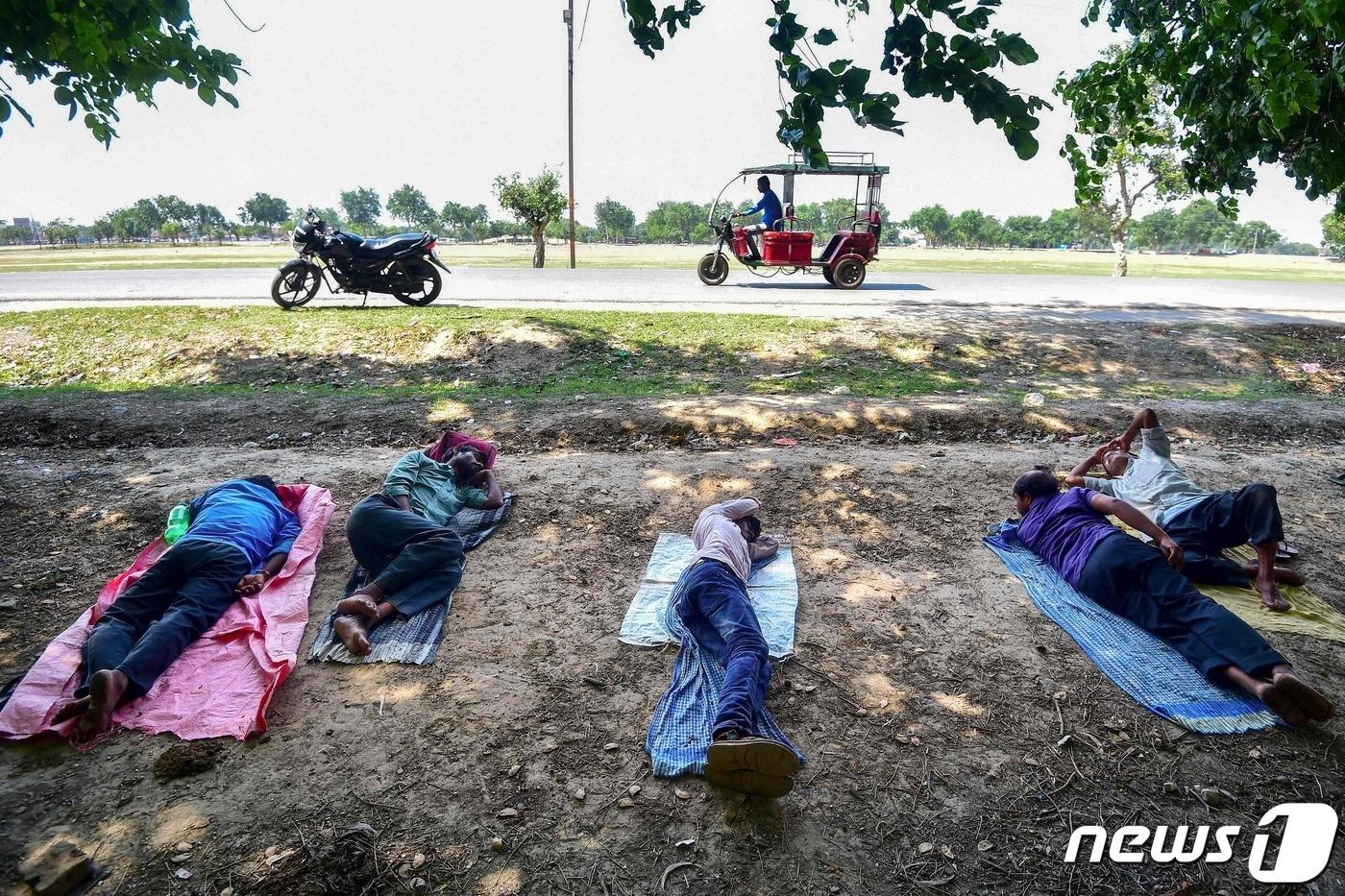 인도를 강타한 폭염으로 인해, 인도 현지 주민들이 강렬한 햇빛을 피해 그늘로 대피해 더위를 식히고 있다 . ⓒ AFP=뉴스1 ⓒ News1 이유진 기자