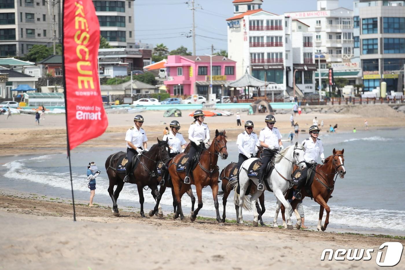 제주도자치경찰단 기마대&#40;사진은 기사 내용과 무관함&#41; / 뉴스1 