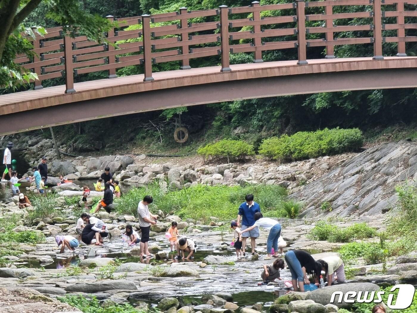 25일 주말을 맞아 전북 김제시 모악산 금산사 인근에서 시민들이 여유로운 시간을 만끽하고 있다.2023.6.25/뉴스1 이지선기자