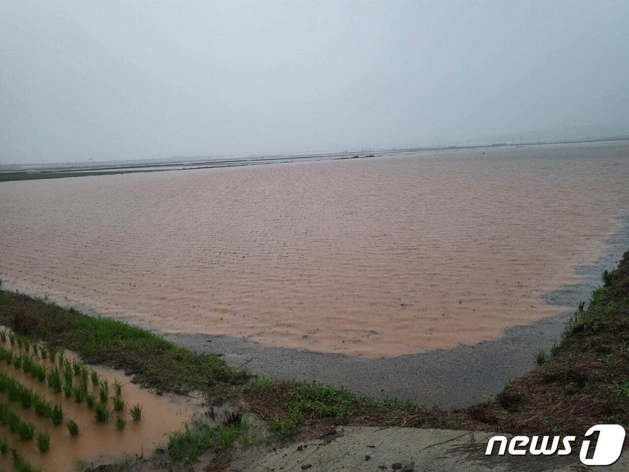 밤 사이 내린 폭우로 전남 함평군의 농경지가 침수돼 있다.&#40;전남도 제공&#41; 2023.6.28/뉴스1 