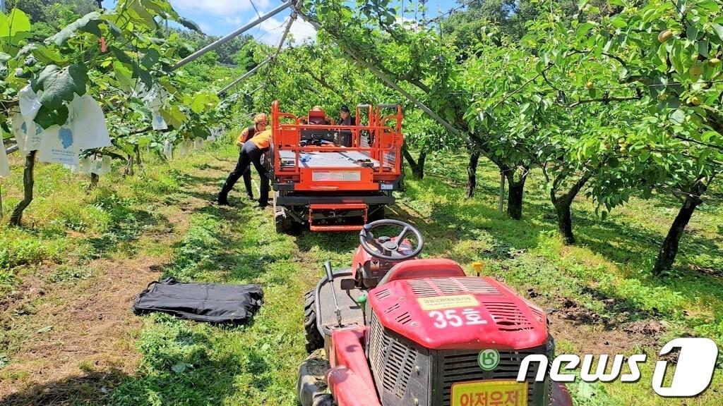 27일 오전 10시34분쯤 충북 영동군 영동읍 주곡리 한 배 과수원에서 50대 남자의 머리가 농업용 고소작업차 리프트에 끼는 사고가 발생했다. &#40;영동소방서 제공&#41;